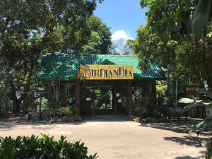Jest Camp Tour at Magaul Bird Park (Subic Bay, SBFZ, Olongapo City)