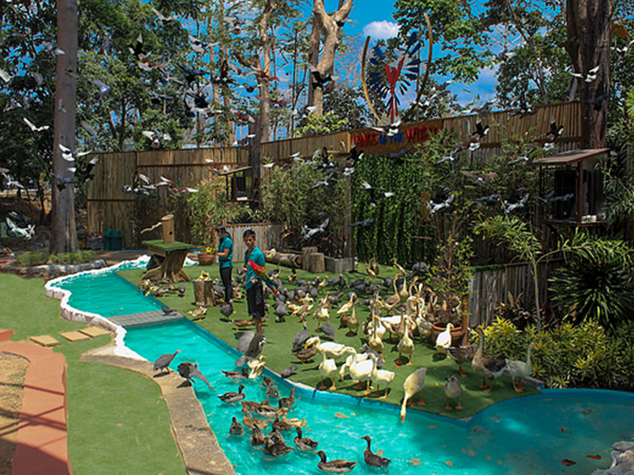 Jest Camp Tour at Magaul Bird Park (Subic Bay, SBFZ, Olongapo City)