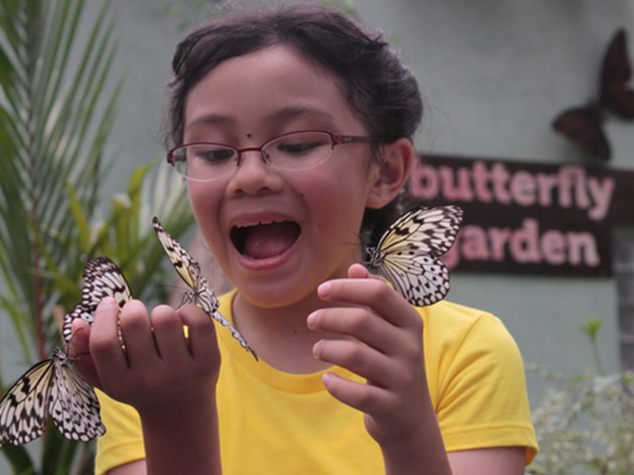 Jest Camp Tour at Magaul Bird Park (Subic Bay, SBFZ, Olongapo City)