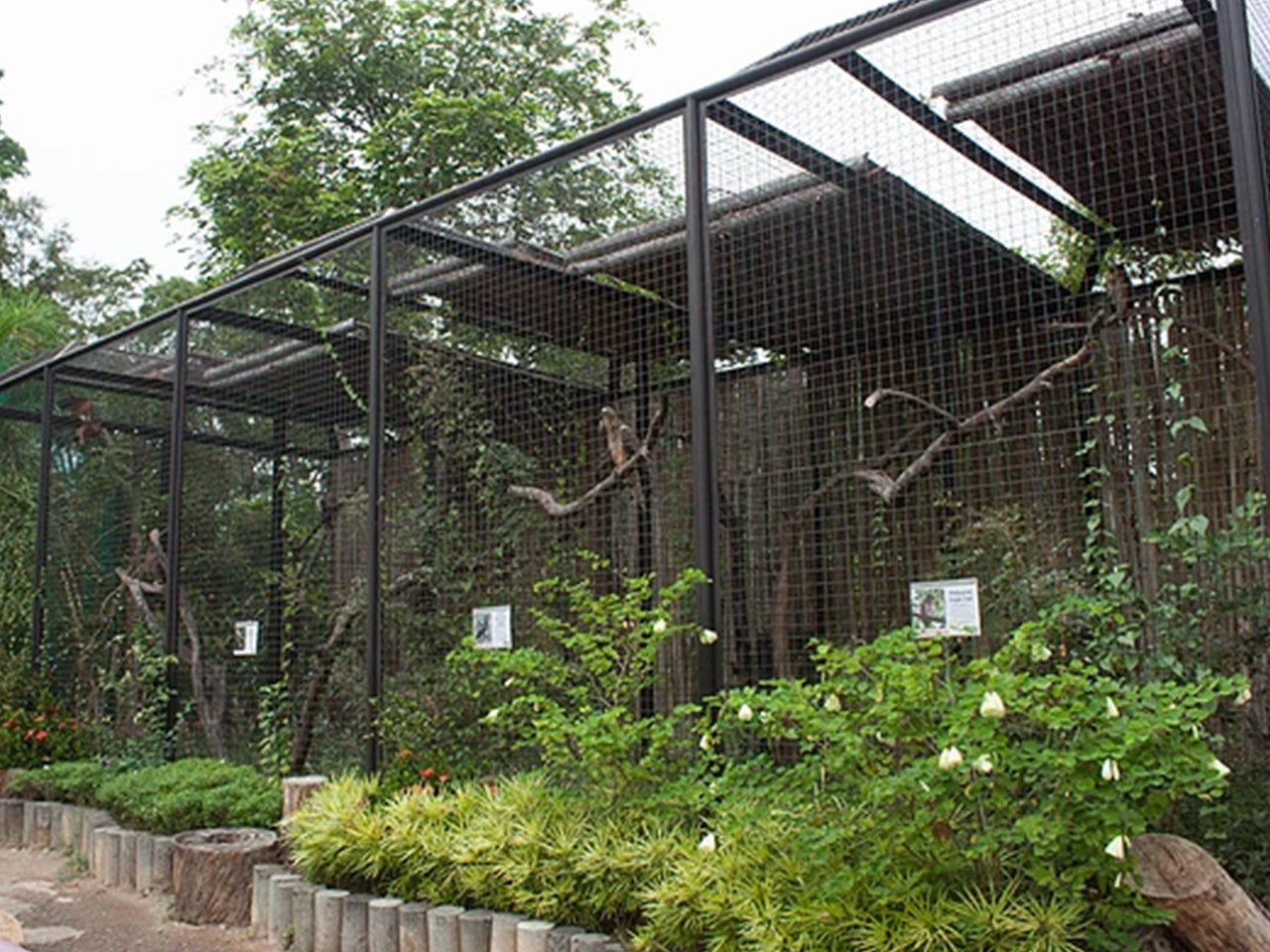 Jest Camp Tour at Magaul Bird Park (Subic Bay, SBFZ, Olongapo City)