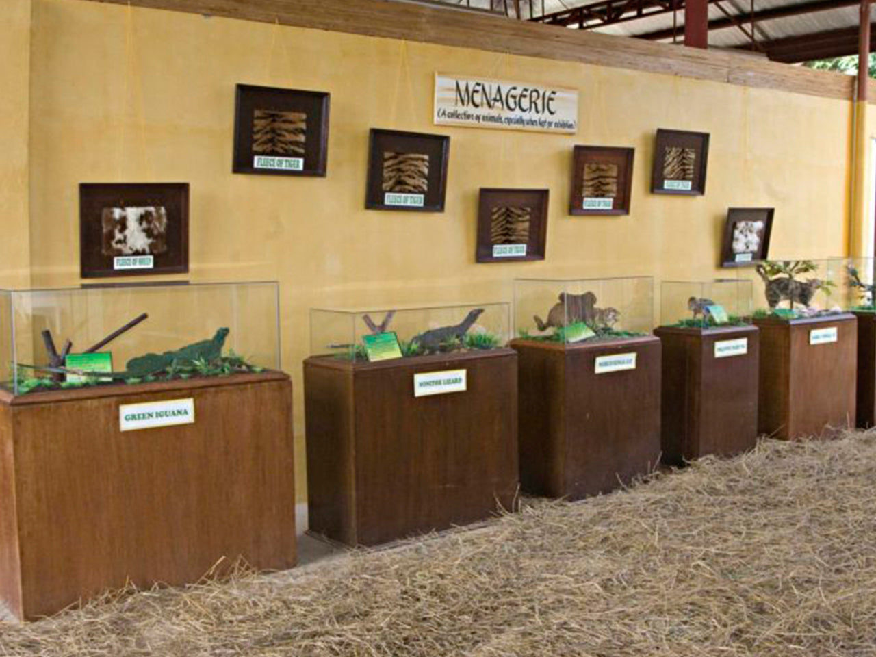 Zoocobia Fun Zoo, Day Tour Access (Clark, Pampanga)