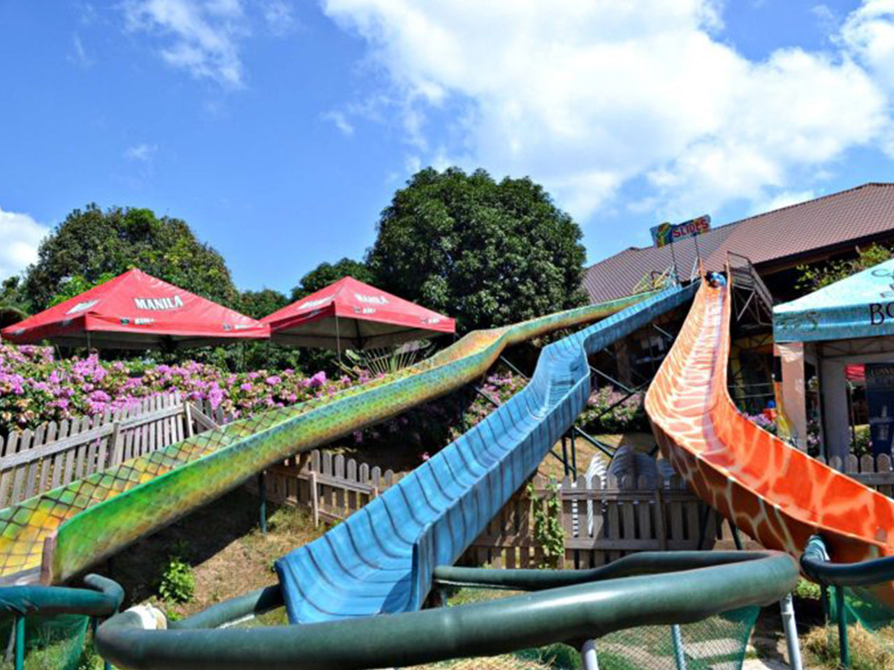 Zoocobia Fun Zoo, Day Tour Access (Clark, Pampanga)