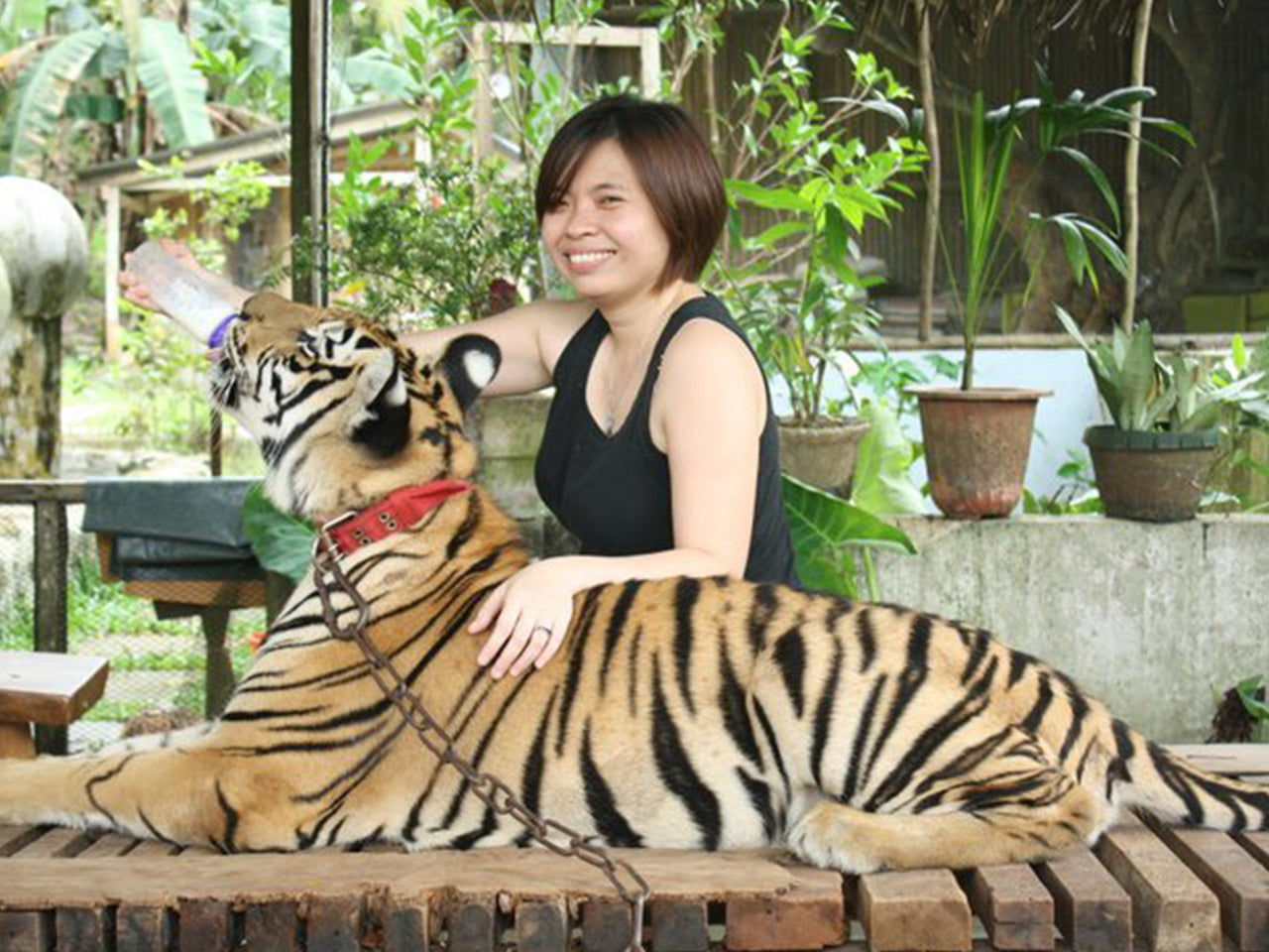 Zoocolate Thrills, Day Tour Access (Loboc, Bohol)