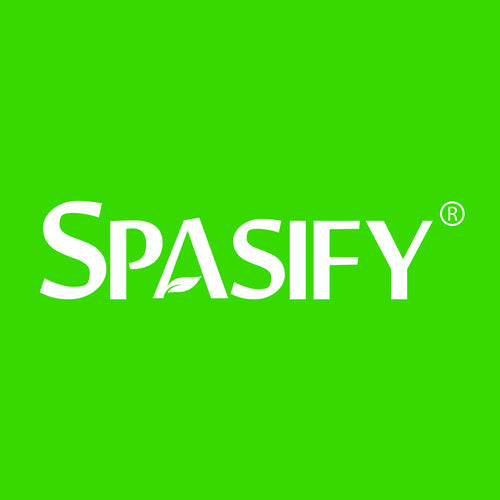 Spasify Centralized Payroll Administration and HR Service