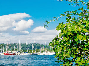 Subic Bay Yacht Club, Day Trip Swimming (Subic Bay, SBFZ, Olongapo City)