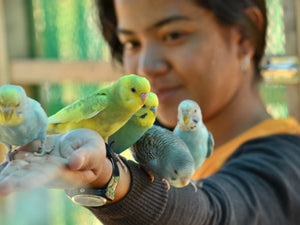 Zoori, Day Tour Access (Tagaytay City, Cavite)