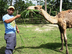 Zoocolate Thrills, Day Tour Access (Loboc, Bohol)